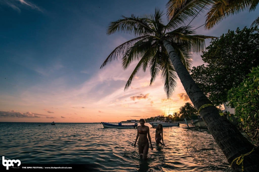 see_you_next_year