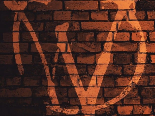viva-warriors-ma95mhgei12hw4znycuwxjvzejoow3rsgqr9jgyir4