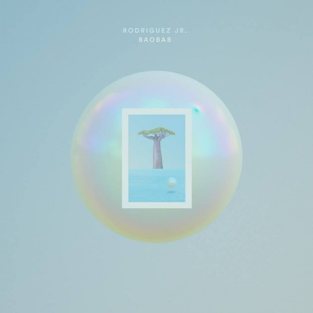 rodriguez jr-baobab-mobilee